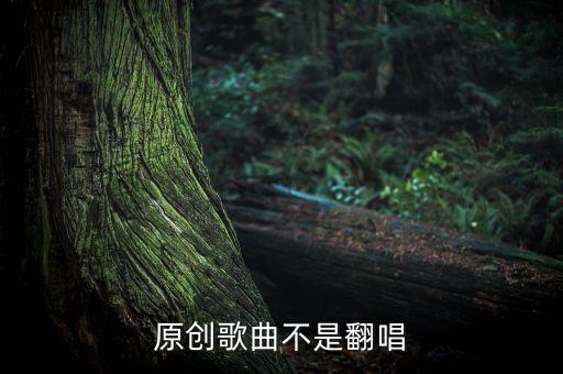 原創(chuàng)歌曲不是翻唱