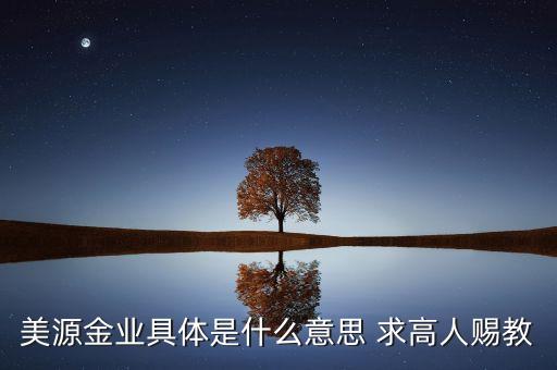 美源金業(yè)具體是什么意思 求高人賜教