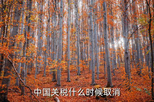 中國什么時候取消關(guān)稅，中國應(yīng)該在哪年取消關(guān)稅