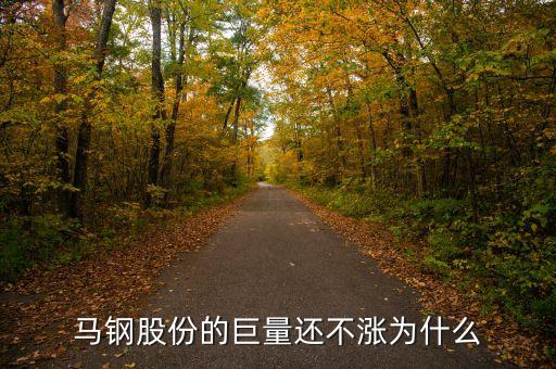 馬鋼集團(tuán)為什么還不倒，馬鋼集團(tuán)為什么沒排在世界500強(qiáng)中