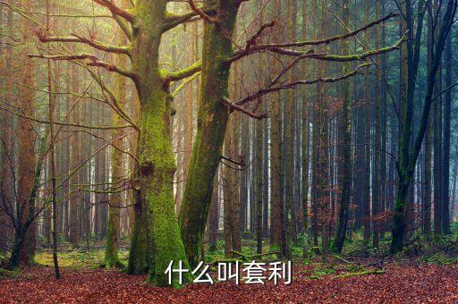 什么是套利資金，套利是什么意思啊