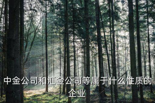 中金公司是什么性質(zhì)的，石家莊中金投資咨詢有限公司