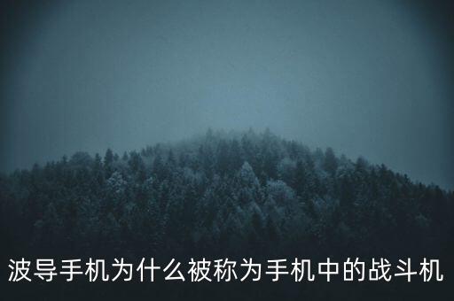 波導(dǎo)手機為什么被稱為手機中的戰(zhàn)斗機