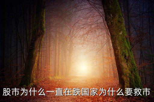 中國為什么要救市，為什么又要救樓市