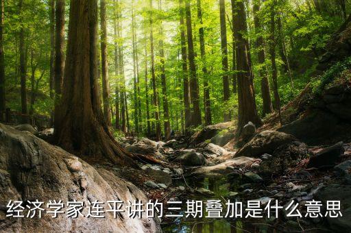 經(jīng)濟(jì)學(xué)家連平講的三期疊加是什么意思