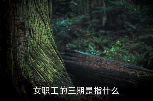 女職工的三期是指什么