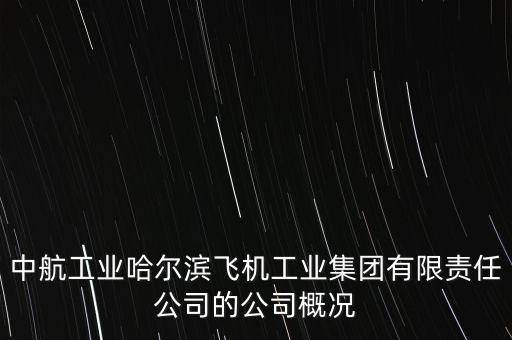 哈飛生產(chǎn)什么飛機(jī)，成飛 陜飛 哈飛 沈飛那個是中國最大的飛機(jī)制造企業(yè)