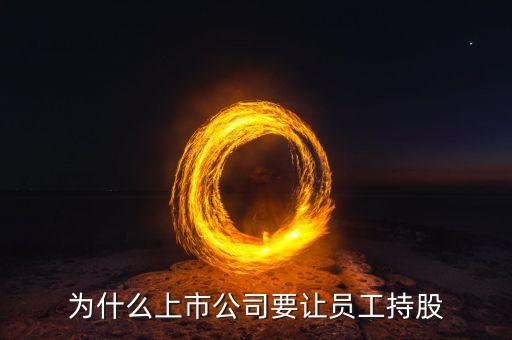 公司強(qiáng)迫員工入股的動(dòng)機(jī)是什么，4個(gè)人的公司要求員工入股是什么目的