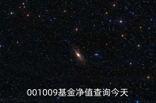 001009基金凈值查詢今天