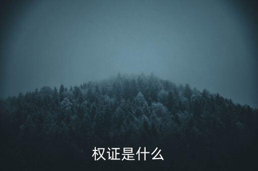什么是定向權(quán)證，權(quán)證是什么意思
