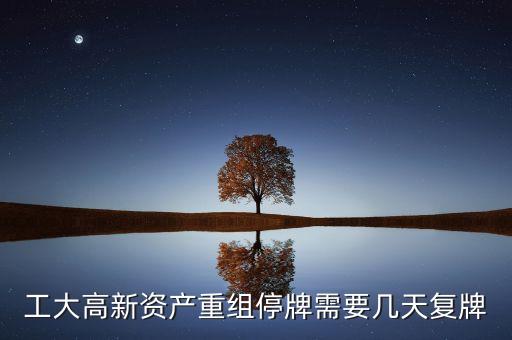 工大高新資產(chǎn)重組停牌需要幾天復(fù)牌