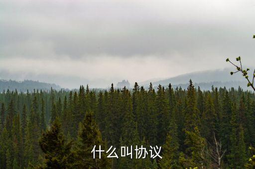 大站協(xié)議是什么，Internet上使用的網(wǎng)絡(luò)協(xié)議是什么