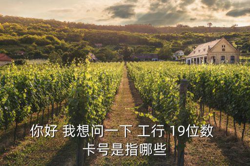 19位銀行卡是什么卡，中國銀行卡什么類型是19位數(shù)