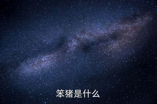 笨豬五國是什么意思，笨豬是什么