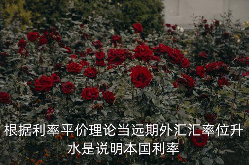 根據(jù)利率平價(jià)理論當(dāng)遠(yuǎn)期外匯匯率位升水是說明本國利率