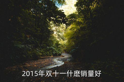 2015年雙十一什麼銷量好