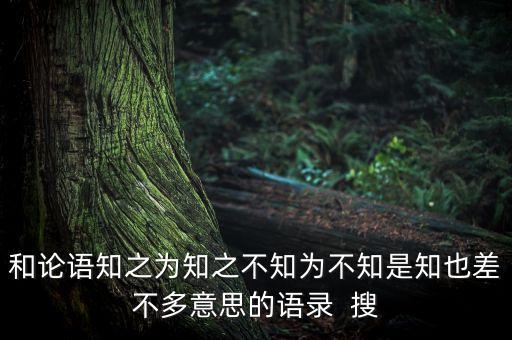 馮侖的女兒叫什么，和論語(yǔ)知之為知之不知為不知是知也差不多意思的語(yǔ)錄  搜