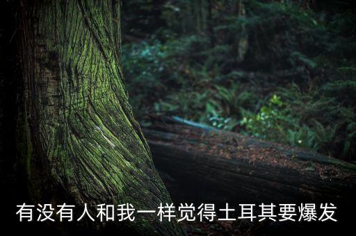 有沒(méi)有人和我一樣覺(jué)得土耳其要爆發(fā)