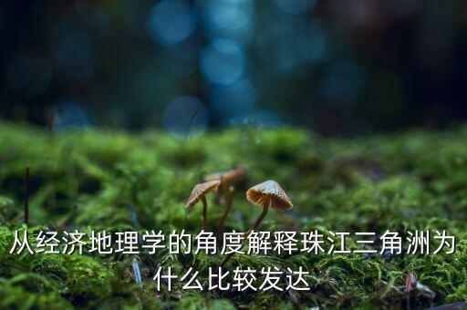 從經(jīng)濟(jì)地理學(xué)的角度解釋珠江三角洲為什么比較發(fā)達(dá)