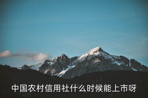 信中利什么時候上市，300397什么時候上市
