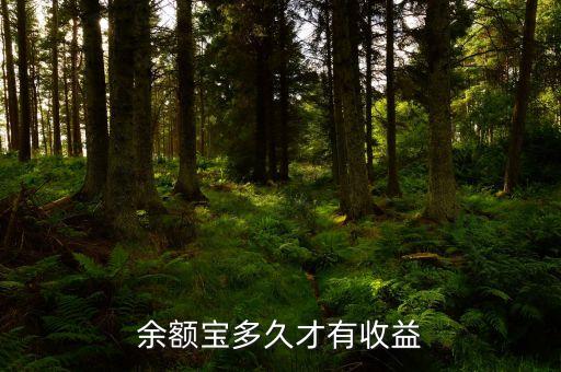 余額寶多久才有收益