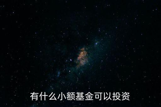 國家有什么基金可以借用的，我國有聯(lián)接基金嗎是哪幾只