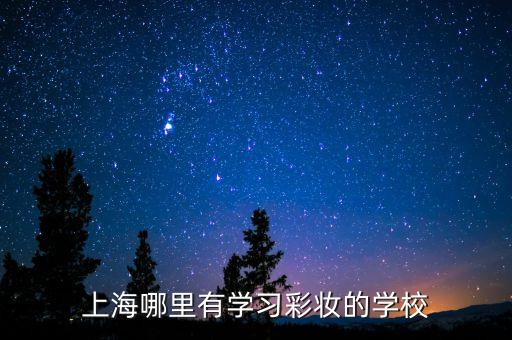 上海哪里有學(xué)習(xí)彩妝的學(xué)校