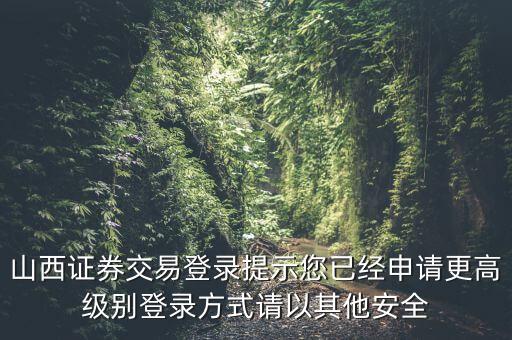 山西證券交易登錄提示您已經(jīng)申請更高級別登錄方式請以其他安全