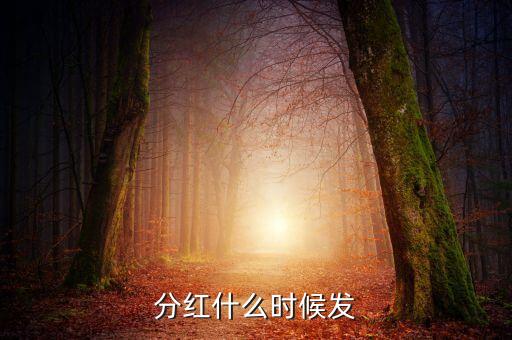 分紅什么時候發(fā)