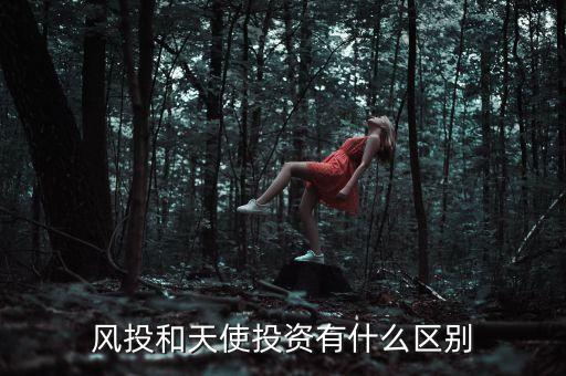 風(fēng)投和天使投資有什么區(qū)別