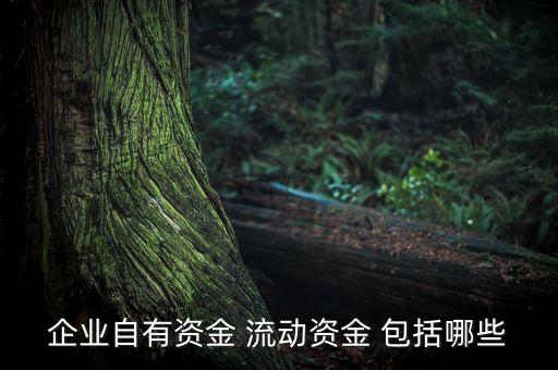 企業(yè)自有資金 流動(dòng)資金 包括哪些