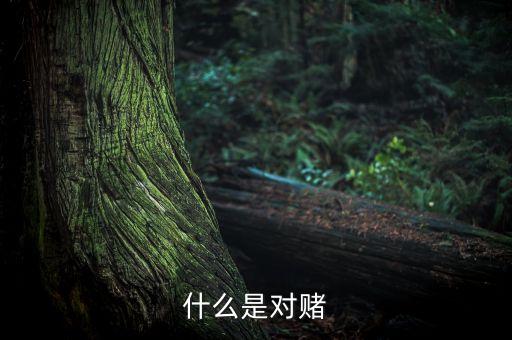 什么是對賭協(xié)議通俗，什么是對賭協(xié)議