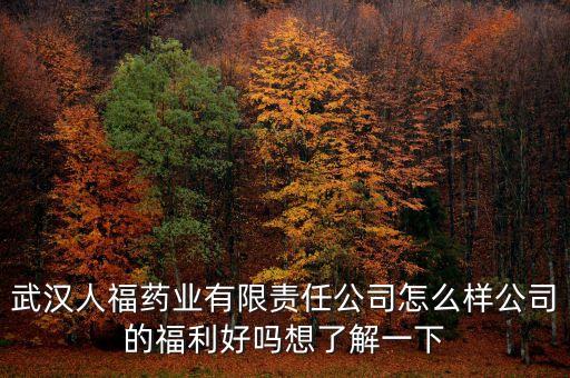 武漢人福藥業(yè)有限責(zé)任公司怎么樣公司的福利好嗎想了解一下