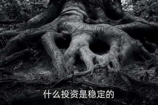穩(wěn)健的投資是什么，你知道最穩(wěn)健的投資方式是什么嗎