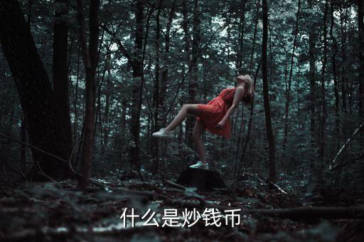 什么是炒錢幣