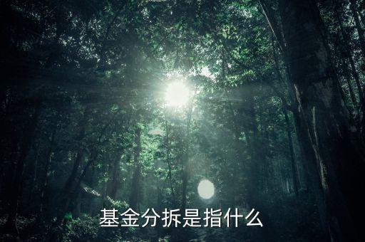 基金分拆是指什么