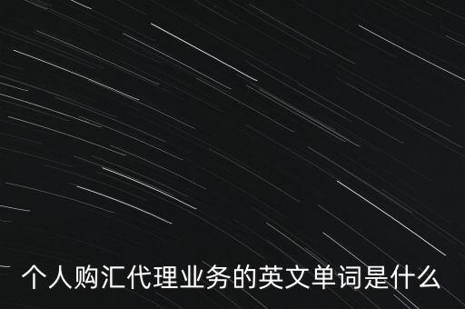 個人購匯代理業(yè)務(wù)的英文單詞是什么