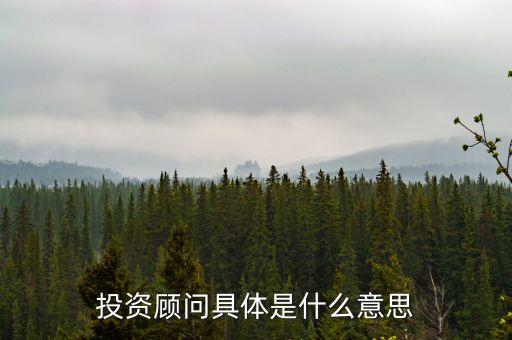 投資顧問具體是什么意思