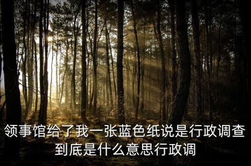 領事館給了我一張藍色紙說是行政調查到底是什么意思行政調