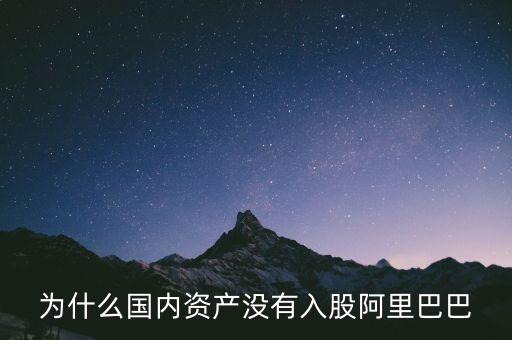 什么國家沒有阿里，為什么國內(nèi)資產(chǎn)沒有入股阿里巴巴