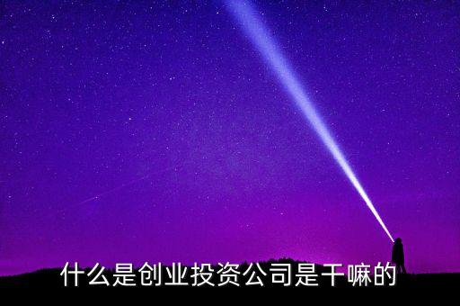什么是創(chuàng)業(yè)投資公司是干嘛的