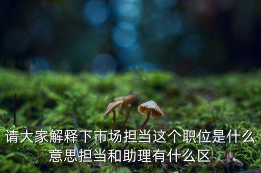 賣(mài)場(chǎng)擔(dān)當(dāng)是什么，什么是門(mén)面擔(dān)當(dāng)
