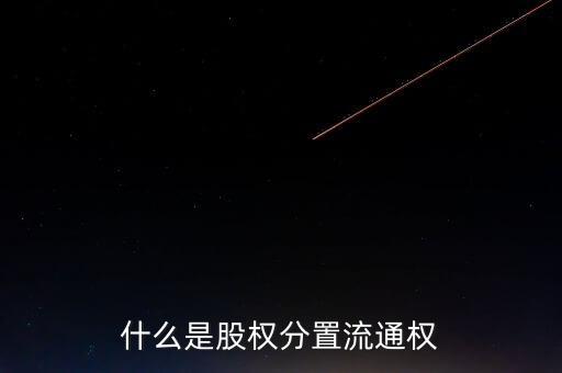 什么叫獲得上市流通權(quán)，關(guān)于股改怎么叫購買流通權(quán)
