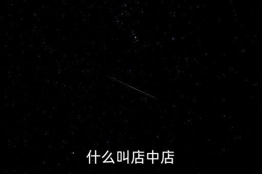 什么叫店中店