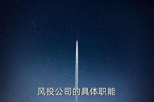風險投資公司是做什么的，風險投資公司是干什么的謝謝