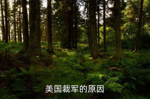 美國為什么要削減軍費，美國裁軍的原因