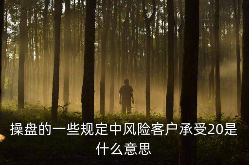 操盤的一些規(guī)定中風險客戶承受20是什么意思