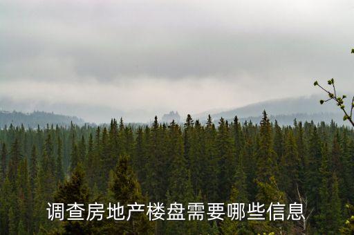 什么是房地產(chǎn)調(diào)盤，房地產(chǎn)寫盤是什么意思