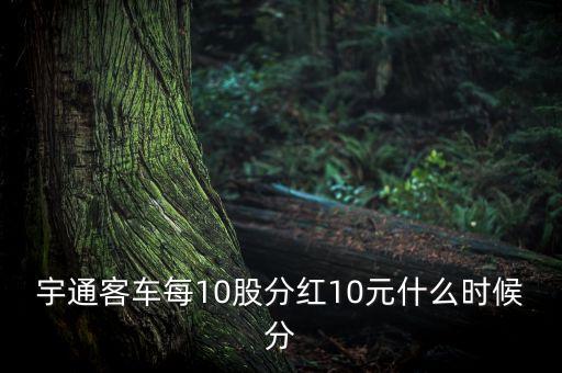宇通客車每10股分紅10元什么時候分