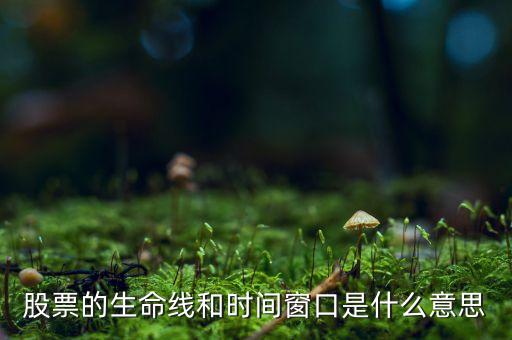股票的時(shí)間窗口是什么，股票分析里說(shuō)的時(shí)間窗口是什么意思